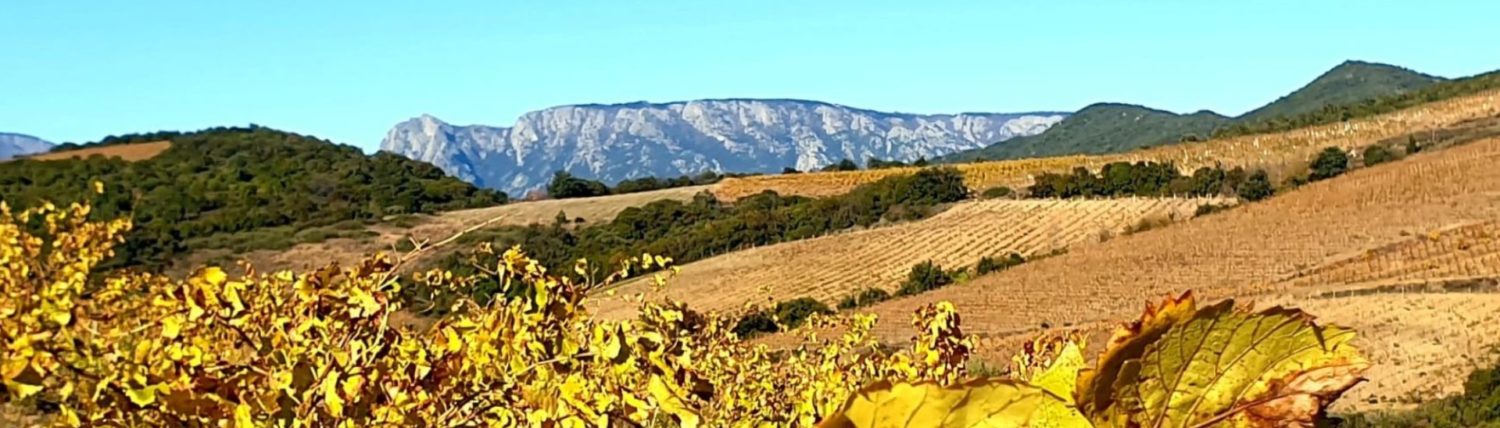 Domaine Pin Des Marguerites