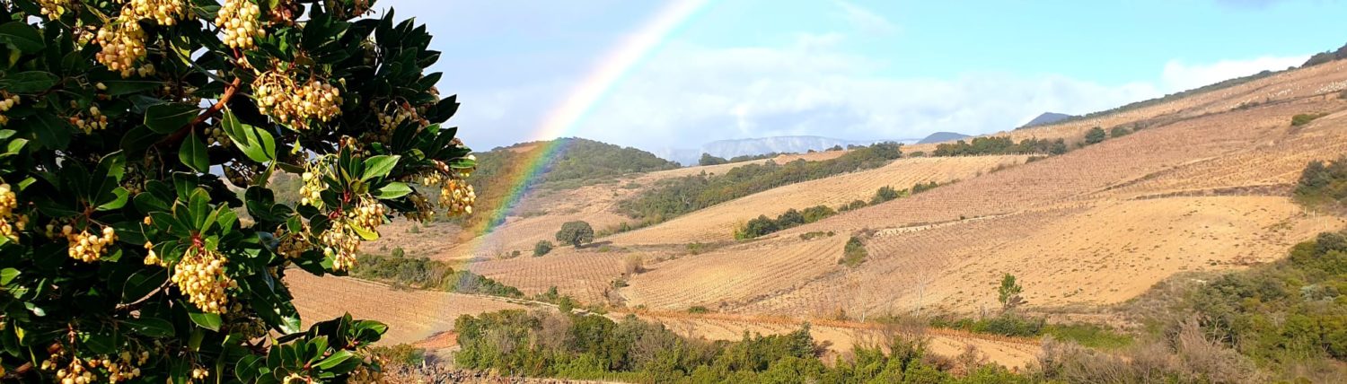 Domaine Pin Des Marguerites